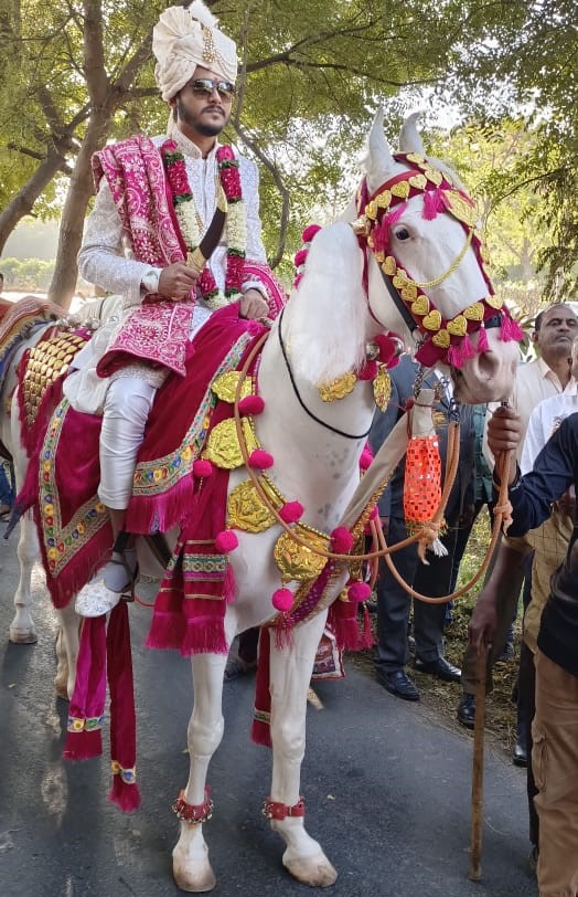 Nashik Dhol in Ahmedabad